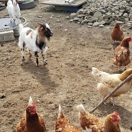La Team Familly Vue Sur Le Mont St Michel Apartmán