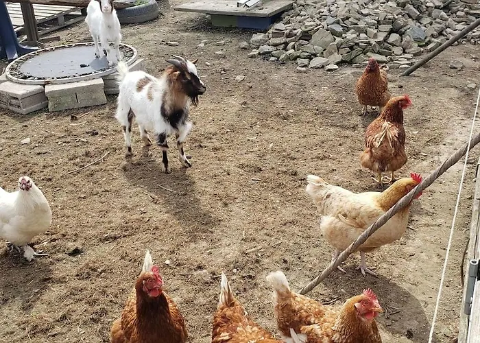 La Team Familly Vue Sur Le Mont St Michel Lejlighed